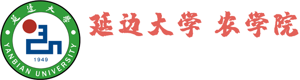 400全讯白菜网官网